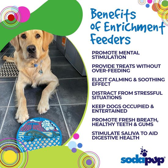 SodaPup Dog Toys - Whale Design eMat Enrichment Lick Mat With Suction Cups Image