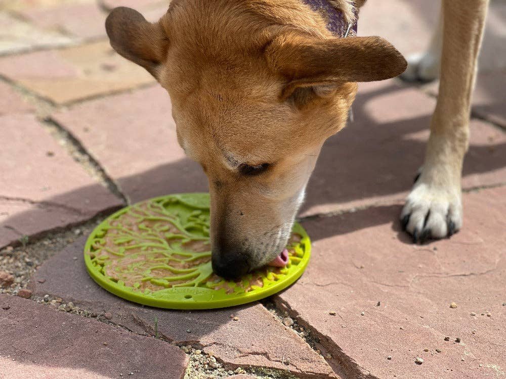SodaPup Dog Toys - Tree of Life eMat Enrichment Lick Mat With Suction Cups Image