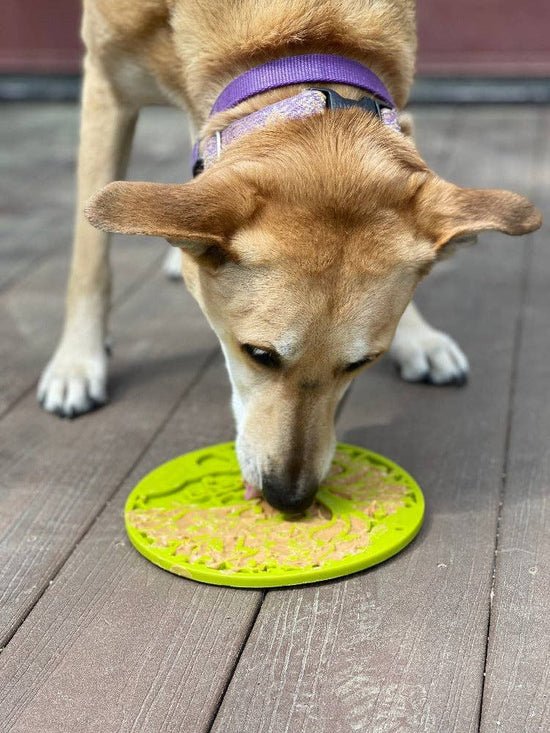 SodaPup Dog Toys - Tree of Life eMat Enrichment Lick Mat With Suction Cups Image