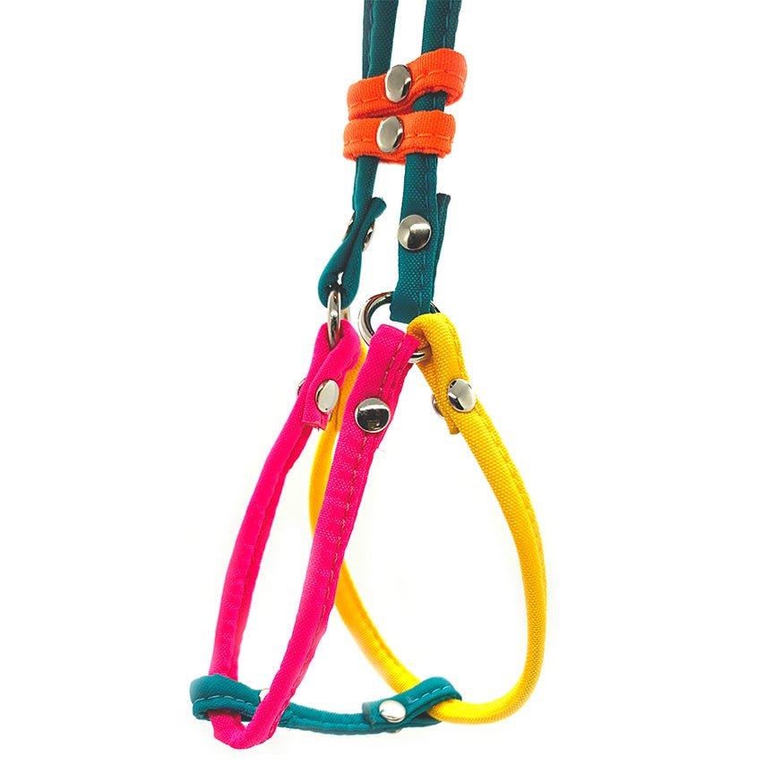 Dog Bar Step-In Nylon Dog Harness w/ Leash Petite (2 lbs.) Image