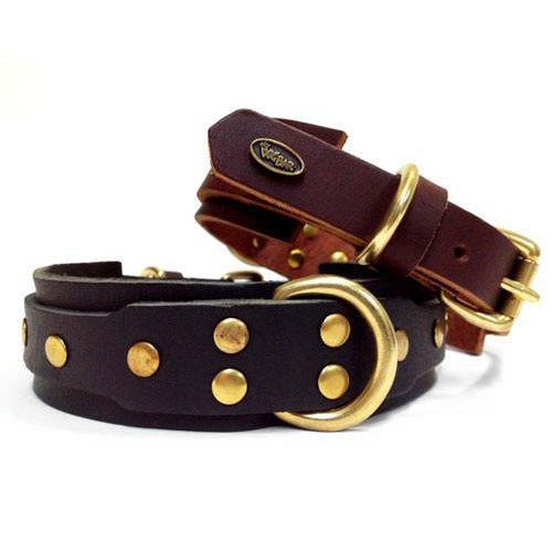 Dog Bar Equestrian Dog Collars  Image