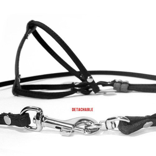 Dog Bar Step-In Nylon Dog Harness w/ Leash  Image